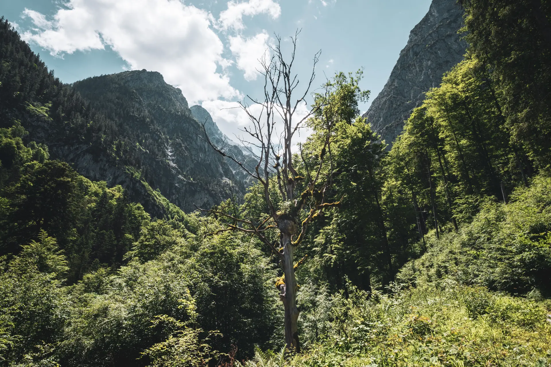 Grainau Valley, Deutschland - Berglandschaft