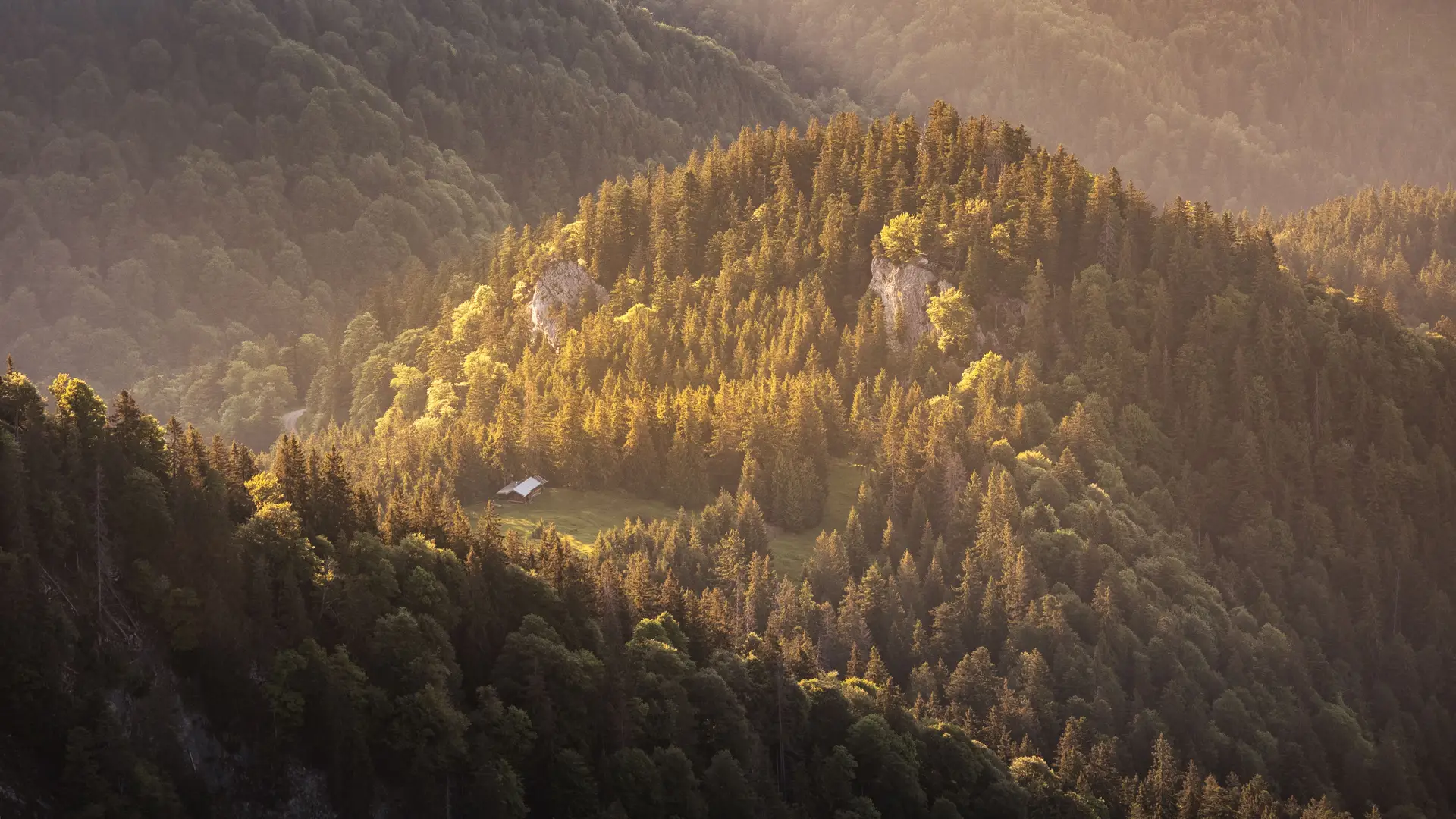 Bayerischer Wald Berglandschaft